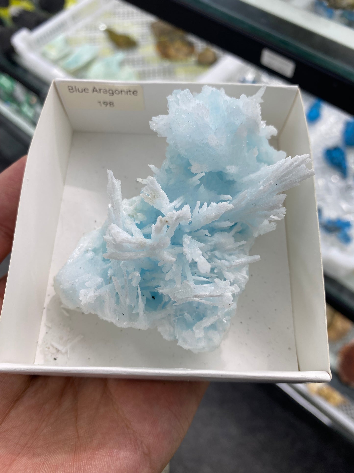 Blue Aragonite